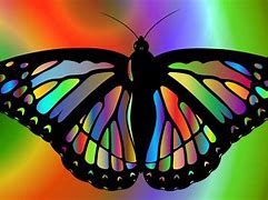 Image result for Pictures of Colorful Butterflies