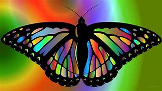 Image result for Colorful Butterfly Desktop