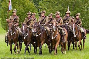 Image result for Ancient War Horse Breeds