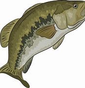 Image result for Largemouth Bass Emoji