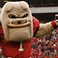 Image result for uga football schedule 2023