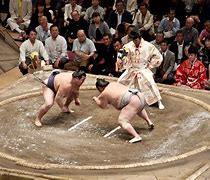Image result for Tokyo Japan Sumo