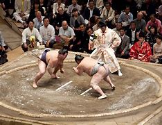 Image result for Sumo Moves