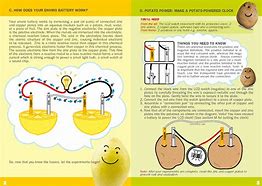 Image result for Science Fair with Light Bulb Uses a 12V Battery