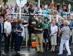 Image result for Crowd Racing Stand