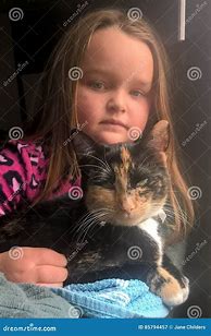 Image result for Baby Calico Kittens