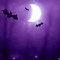 Image result for Spooky Full Moon Bats