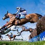 Image result for Noel Beattie Race Horse From Northern Ireland