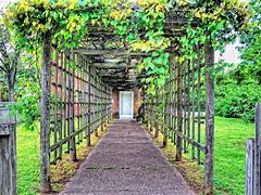 Image result for Concord Grape Trellis Design