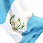 Image result for Guatemala Flag PNG