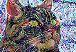 Image result for Trippy Psychedelic Cat