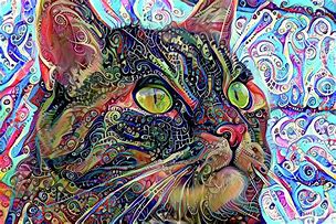 Image result for Psychedelic Kitten