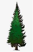 Image result for Pine Tree Clip Art Vector