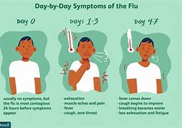 Image result for Contact Cold and Flu