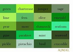 Image result for Types of Thiere