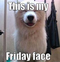 Image result for That Friday Feeling Dog Meme