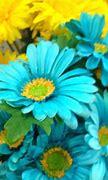Image result for Turquoise and Yellow Flowers