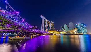 Image result for Singapore Spots