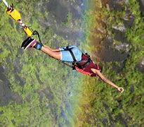 Image result for Bungee Fun