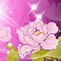 Image result for Pink Floral iPad Wallpaper