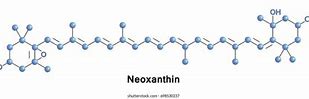 Image result for Neoxanthin
