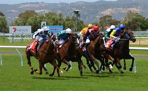 Image result for Horse Racing Symbols