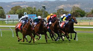 Image result for Horse Racing Quotes