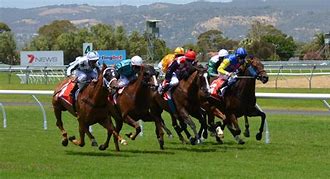 Image result for Free Horse Racing Bets