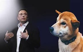 Image result for Elon Musk Doge 1080P