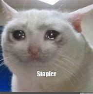 Image result for Stapler Thief Meme