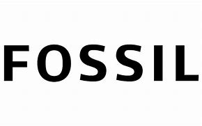 Image result for Fossils Band Logo