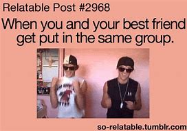 Image result for Your Best Friend Funny Memes