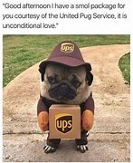 Image result for Funny Pug Quotes
