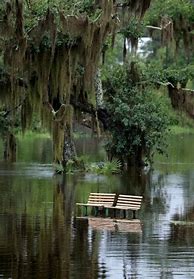 Image result for Tropical Storm Cindy 2017