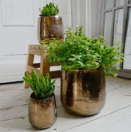 Image result for Gold Indoor Plant Pots