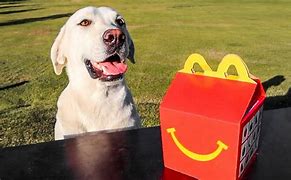 Image result for McDonald's Dog Meme