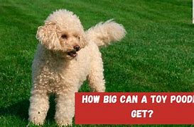 Image result for How Big Is Yobibyte