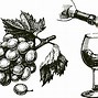 Image result for Simple Grape Vine Drawing