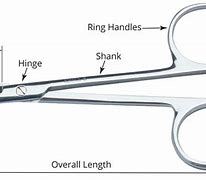 Image result for Separated Scissors