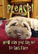 Image result for Pretty Please Dog Meme