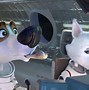Image result for Cool Dog PFP 1080X1080