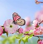 Image result for Spring Flowers Continous Background