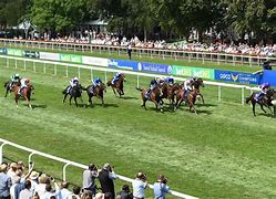 Image result for Newmarket Races 21st July