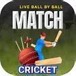 Image result for Apple iPhone SE Cricket
