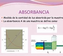 Image result for absodbencia
