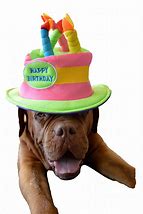 Image result for Funny Spanish Birthday