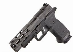 Image result for Sig Sauer P-320 Full Size