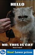 Image result for Phone Issues Animal Meme