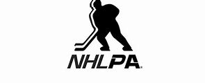 Image result for National Hockey League