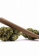 Image result for Largest Blunt Papers
